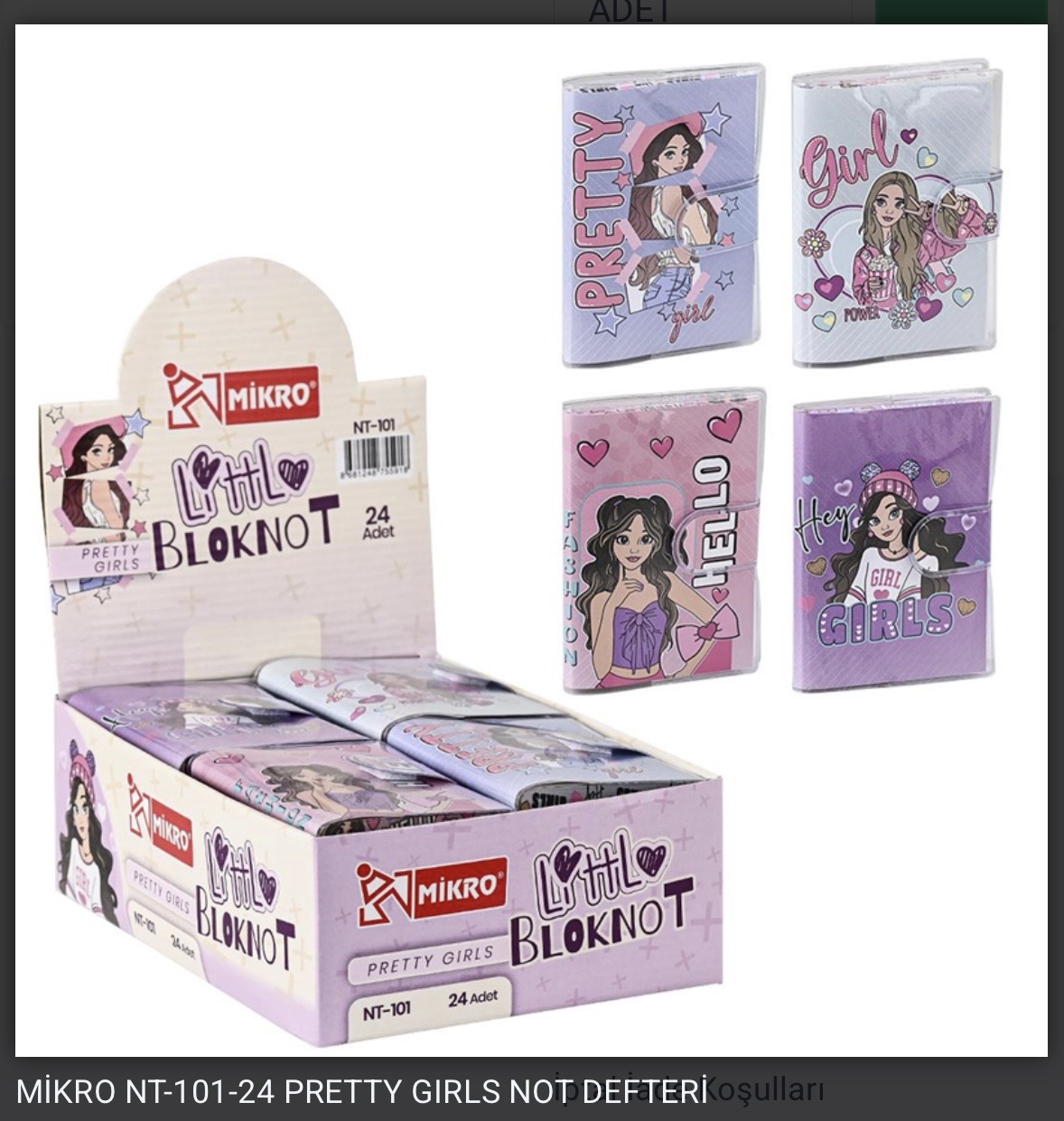MİKRO NT-101 PRETTY GİRLS NOT DEFTER *24